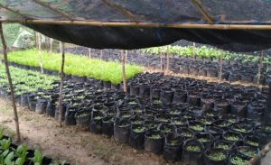 IMG-20200622-WA0032-607x370