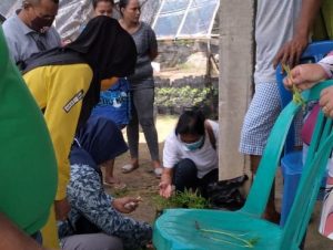 IMG-20200622-WA0044-607x370