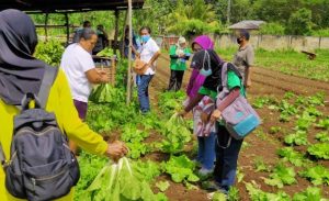 IMG-20200622-WA0059-607x370