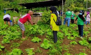 IMG-20200622-WA0060-607x370