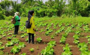 IMG-20200622-WA0068-607x370