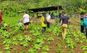 IMG-20200622-WA0073-607x370