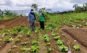 IMG-20200622-WA0075-607x370