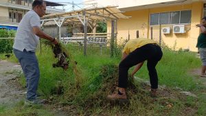 WhatsApp Image 2023-05-26 at 09.24.00