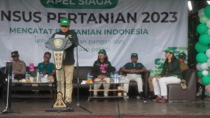 WhatsApp Image 2023-05-31 at 09.06.45kk