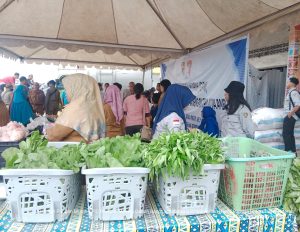 WhatsApp Image 2023-08-08 at 22.19.47