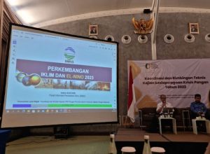 WhatsApp Image 2023-10-04 at 13.58.37