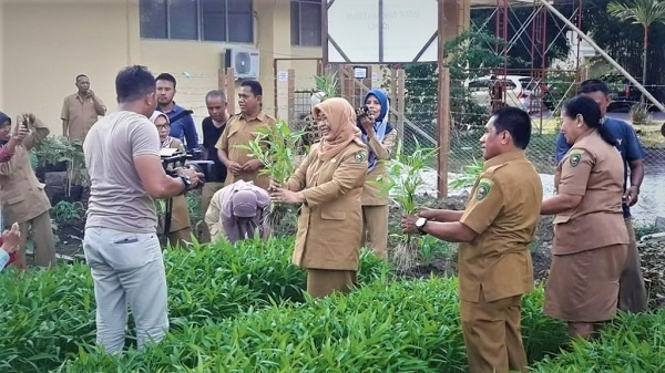 Panen-OPAL-Perdana4 (1)