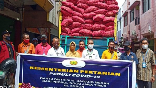 bawang-merah-ok-600x337