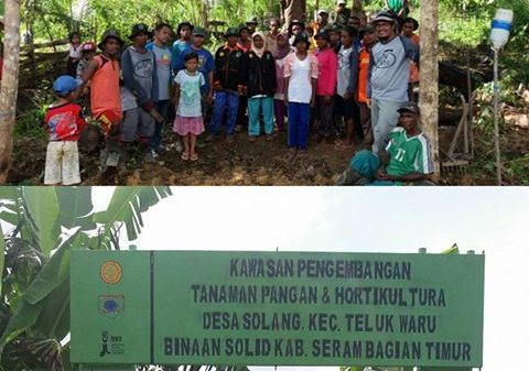dusun-solid-2-480x337